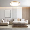 Wheatronic 20 inch Flush Mount Ceiling Light Fixture LED 36W,