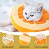 Collar de Recuperación Para Gatos y Perros, Ajustable y Cómodo