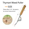 Manual Weeders Weed Puller Hand Tool Manual Root Lifter -