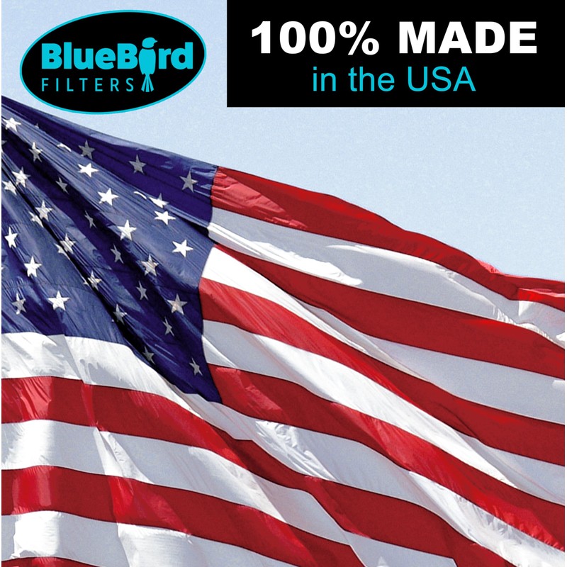 BlueBird Filters Replacement HEPA Filter & Carbon Pre Filter Kit