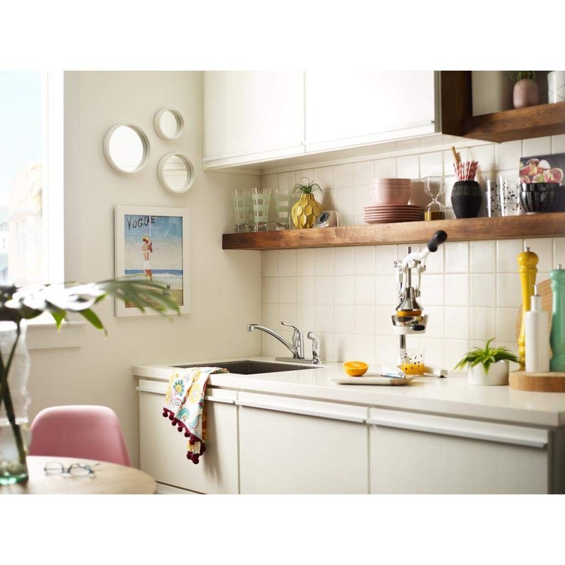 MOEN Adler Single-Handle Low Arc Standard Kitchen Faucet with Side