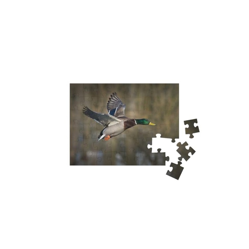 puzzleYOU: Jigsaw Puzzle 48 Piece Mallard in Flight - Ducks