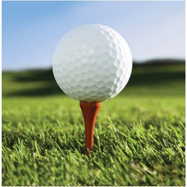 Creative Converting 16 Count Sports Fanatic Lunch Napkins, White/Green