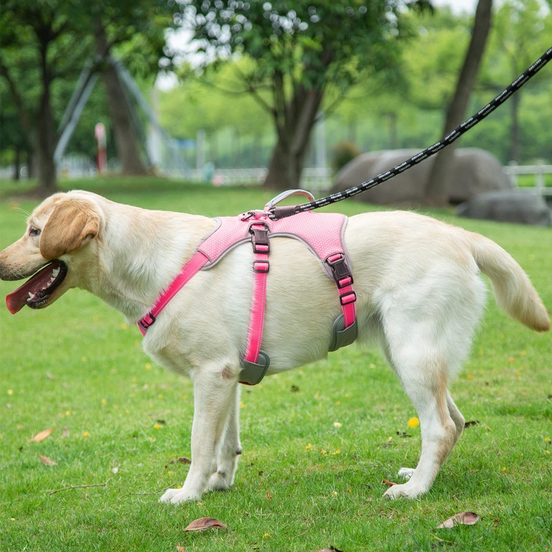 BELPRO Multi-Use Support Dog Harness, Escape Proof No Pull Reflective