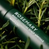 Aromatica 로즈마리 루트 볼류마이징 스칼프 앰플 20mlx2개 / 정수리, 가르마,