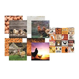 Chicken Life 12x12 Scrapbook Papers and Sticker Set
