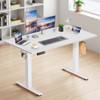DUMOS Height Adjustable Electric Standing Desk, 47.2 x 23.6 Sit