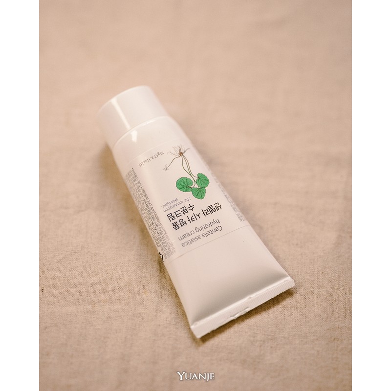 Yuanjae Centella Centella Asiatica Moisture Cream 95g Big Leaf Giant