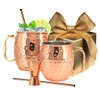 Kitchen Science [Gift Set] Moscow Mule Mugs, Stainless Steel Lined