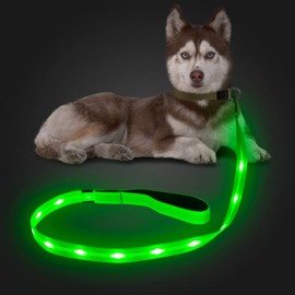 Candofly Reflective LED Dog Leash - Glow in The Dark Dog Leash USB Reachargeable Lighted Dog Rope, 4 Ft Durable Water Resistant Flashing Dog Leash for Pet Dogs Walking at Night (Green)