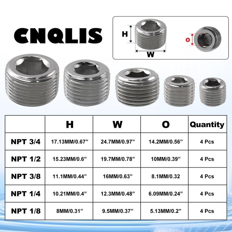 CNQLIS 20 Pcs Stainless Steel Pipe Plug NPT Plug Fitting