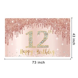 12th Birthday Banner Decorations for Girls, Rose Gold Happy 12 Birthday Backdrop Party Supplies, Pink 12 Year Old Birthday Sign Poster Background Photo Booth Props Decor