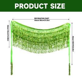 Baisdan Belly Dance Dancer Costume Sequin Tassel Fringe Hip Scarf Belt Waist Wrap Skirt Light Green