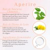 Aperire Miracle Day Root Essence tónico coreano 150 ml, firmeza