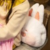Stuffed Animals Travel Blanket Pillow Set Soft Plush Hugging Pillow