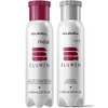 Elumen Goldwell Elumen Haarfarbe RR@all red, 200 ml und 250 ml Farbversiegelung mit 4 x Kerasilk Sachets, Proben.