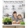 AeroGarden Hydroponics System Indoor Garden: Herb Garden Kit