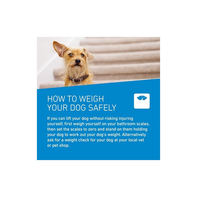 FRONTLINE FRONTLINE Spot On Flea & Tick Treatment for Medium