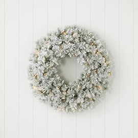 Flocked Winter Fir 24" Flocked Hard Needle Wreath | 50 Warm White LED Battery Operated Lights | for Indoor or Outdoor Locations