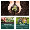 Herbs for Containers Seeds – 6 Varieties Separately Packed –
