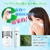 ANX Mobile Mist Facial Beauty Device Handy Mist Ultrasonic Nano