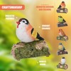 GEEZY Motion Activated Singing Bird Ornament – Chirping Sound, Lightweight