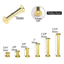 Hilitchi 60-Sets M5 x 5/10 / 15/25 / 35/45 Golden Phillips Chicago Screw Binding Screws Posts Assortment Kit for Scrapbook Photo Albums Binding and Leather Saddles Purses Belt Repair -