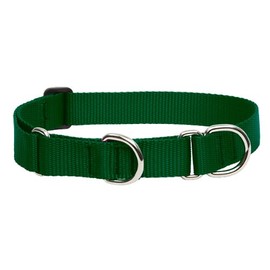 LupinePet Basics 1" Green 19-27" Martingale Collar for Large Dogs