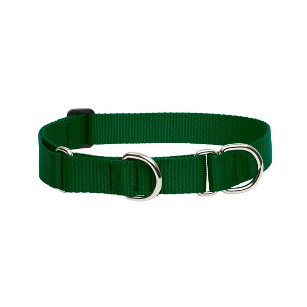 LupinePet Basics 1" Green 19-27" Martingale Collar for Large Dogs