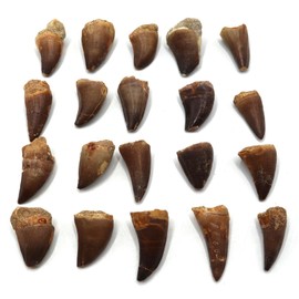 Car Bumper Sticker - My Gps Is Jesus Christ John 14 6