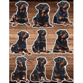 Unbranded Rottweiler Dog Die Cut Vinyl Stickers Set Scrapbooking Laptop Waterbottle