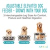Messy Mutts Elevated Double Feeder with Stainless Bowls | Adjustable