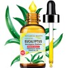 Botanical Beauty EUCALYPTUS ESSENTIAL OIL 100% PURE Natural Undiluted THERAPEUTIC
