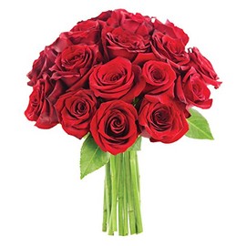 KaBloom PRIME NEXT DAY DELIVERY - Mother’s Day Collection - The Romantic Classic Bouquet of 18 Fresh Red Roses .Gift for Birthday, Get Well, Easter, Valentine, Mother’s Day Fresh Flowers