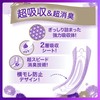 Whisper 170cc 14 Sheets (For Women, Water Absorption Care, Urinary