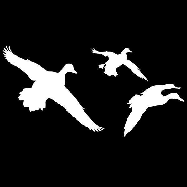 Ducks Jukin 7 Wall Decal (White - Reverse Facing - 4XL) - Waterfowl Collection