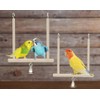 CINY Bird Toy, Natural Swings Made of Solid Wood, Stand