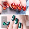 Gsnagole Gel Nail Polish Kit - Cat Eye Magnetic Gel