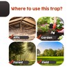 Squirrel Traps Outdoor - Squirrel Trap - Ouell Traps -