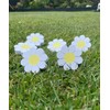 6-Pack Daisy Flower Drawer Knobs – White & Yellow Decorative