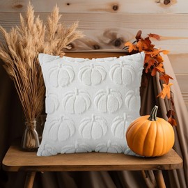 HiABsee Fall Pillow Covers 18x18 Inch Set of 2 Fall Decorations Velvet Autumn Rust Pumpkin Throw Pillows Soft Plush Faux Fur Wool Thanksgiving Decor Cushion Case for Couch Sofa Home(F8-W18)