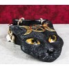 Ebros Gift Wiccan Witchcraft Feline Black Cat with Triple Moon