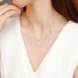 Qings Women's Zodiac Pendant Necklace with Cubic Zirconia Horoscope Astrology Women's Jewellery Birthday Christmas Graduation Gifts for Women Girls Men, Cubic Zirconia