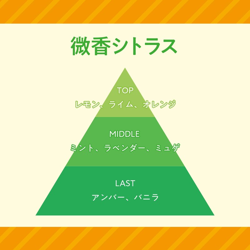 晴香堂(HARUKADO) カーオール 車用 芳香剤 柿渋消臭 置き型 微香シトラス 100g 3014