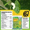 Elephant Ear Fuel Plant Fertilizer - Wellspring Gardens - Plant