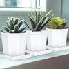 LWALRS 5 Pack Square Plant Saucer, Plastic Plant Water Dray