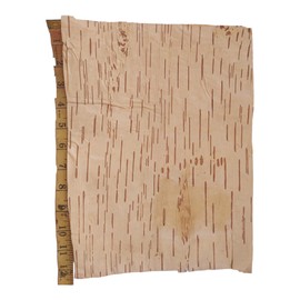 BHAVICREATION Bhojpatra Betula Birch Betula Bark 2 pcs (Big Size= 12 x 9 inch) Bhojpatra Sheets Writing Sacred Mantras(, Natural