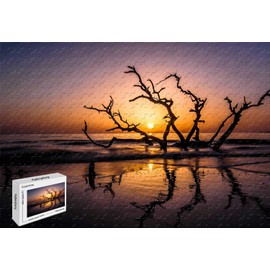 500 Piece Jigsaw Puzzle - Driftwood Beach Jekyll Island Georgia Wooden Bright Colorful Art Pictures 20.6 X 15.1 Inch