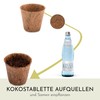 HappySeed 10 x Coconut Propagation Pots & Swelling Tablets Peat-Free