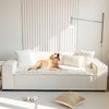 Gumfolk Non Slip Fuzzy Pet Couch Covers for Sofa, Washable
